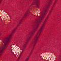 Paithani Saris of Maharashtra