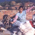 Cotton Weaving