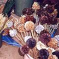 Dried Flowers from Nagaland