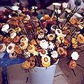 Dried Flowers from Nagaland