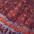 Batik on Textiles & Leather