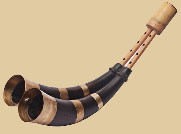 Musical Instruments and Sound Objects of Assam