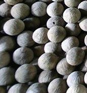 Polo Balls of Deulpur, West Bengal