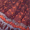 Batik on Textiles and Leather of Bangladesh