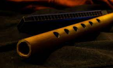 Musical Instruments and Sound Objects of Odisha