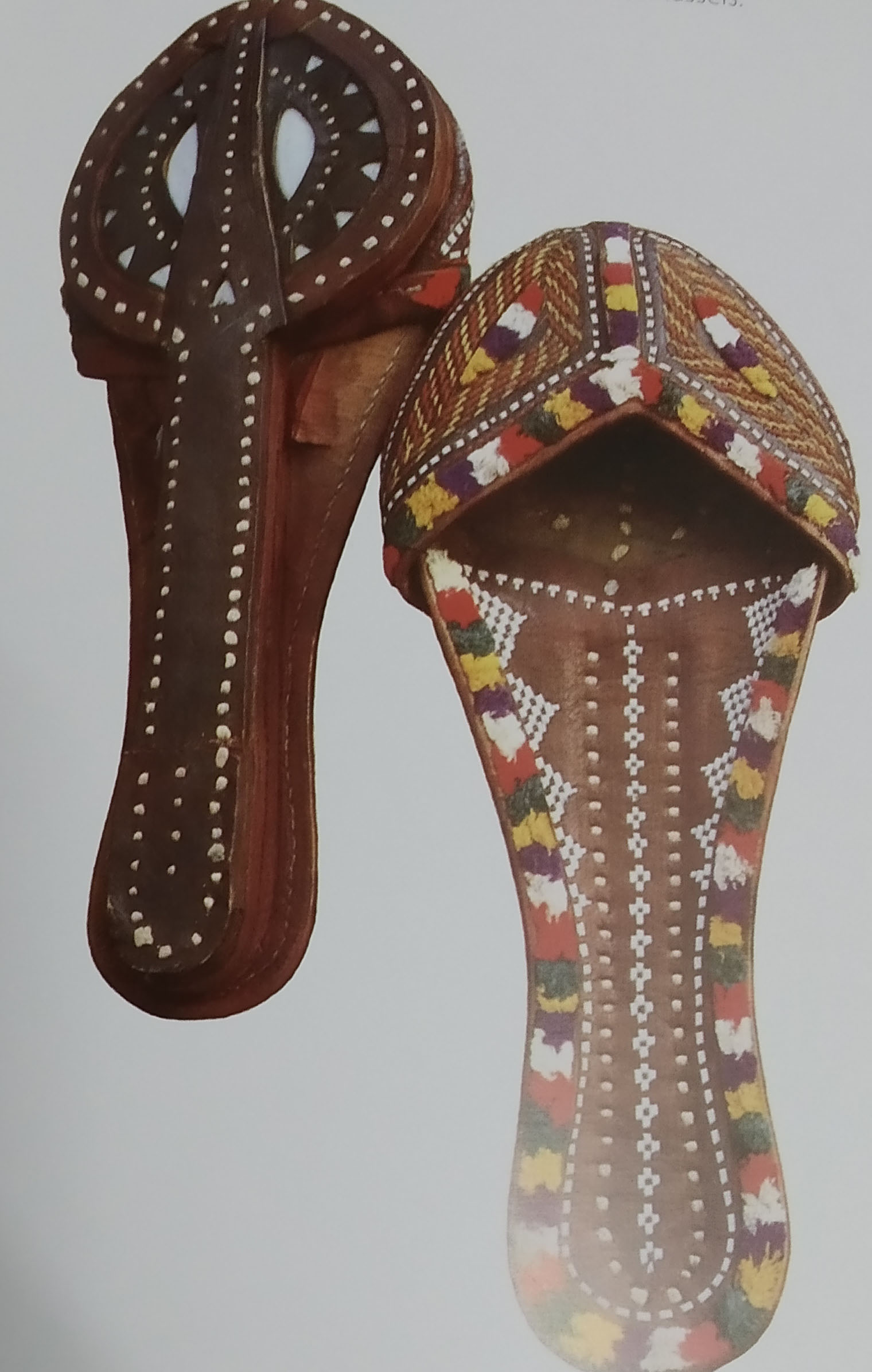Crewel Embroidered Leather of Tharad, Gujarat